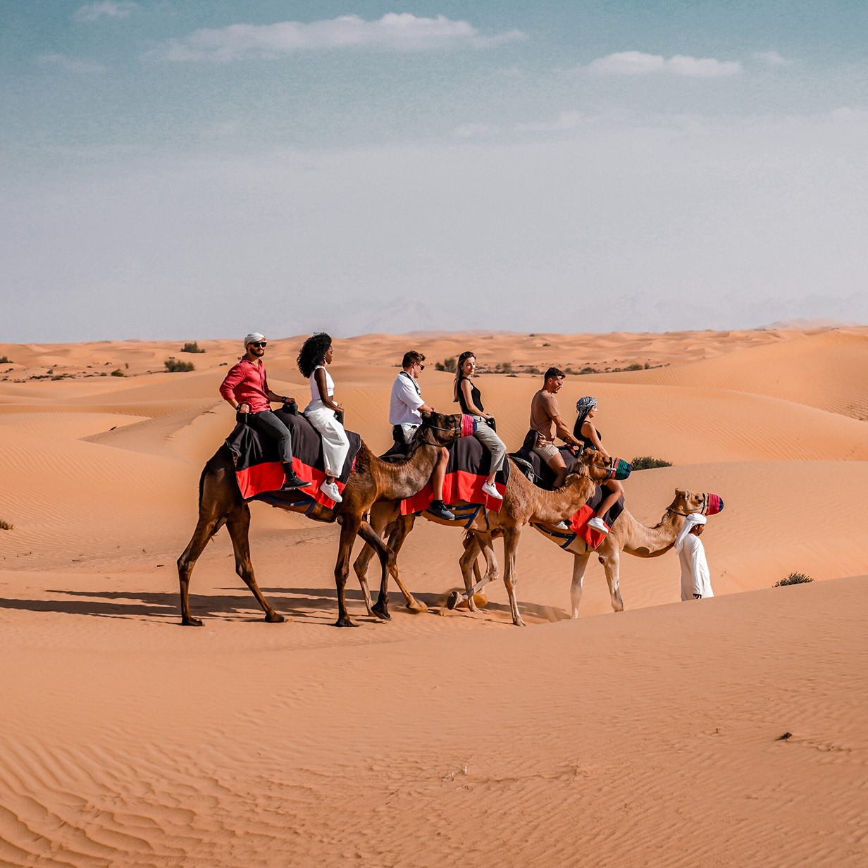 Camel Ride